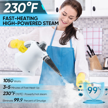 Steam Disinfection Cleaner
