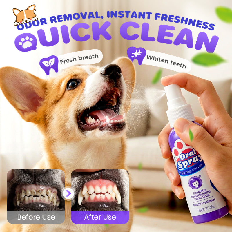 The No Brush Teeth Cleaning Spray