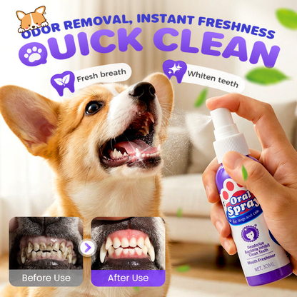 The No Brush Teeth Cleaning Spray