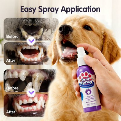 The No Brush Teeth Cleaning Spray