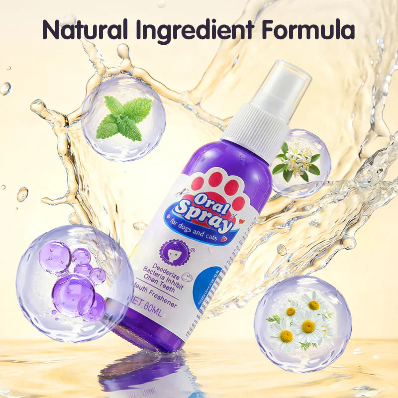 The No Brush Teeth Cleaning Spray