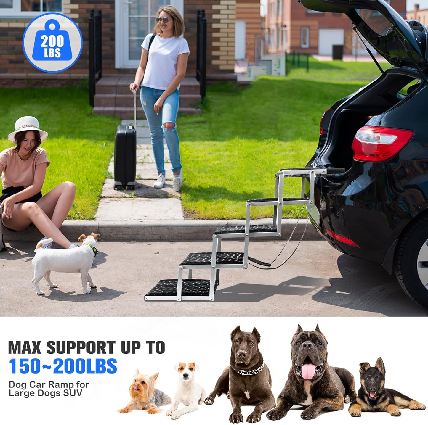 Dog Ramps for Cars