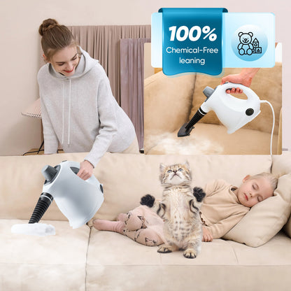 Steam Disinfection Cleaner